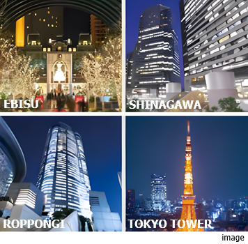 都市と東京タワー｜ザ・パークハウスアーバンス白金