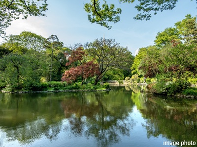 有栖川宮記念公園イメージ｜ザ・パークハウスアーバンス白金