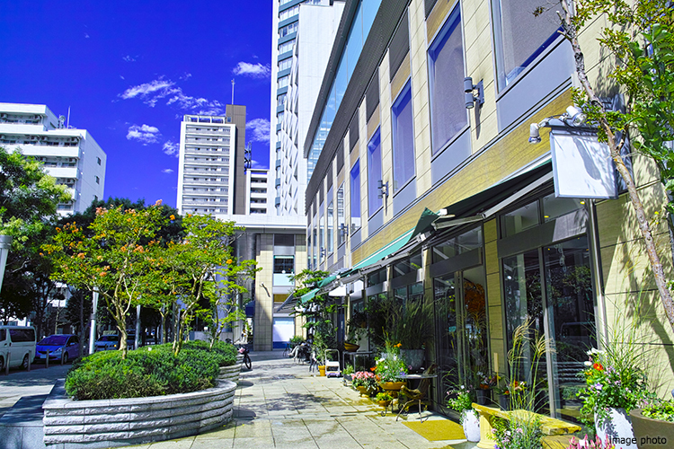 白金高輪のレストランのある風景イメージ｜ザ・パークハウスアーバンス白金